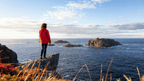 Newfoundland's Dramatic Coasts: 8 or 18 - Day Culture & Cliff Adventure - Zero Trace Tours