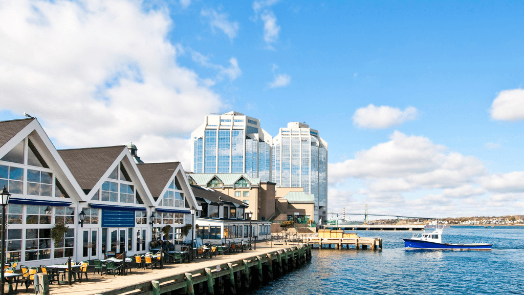 Newfoundland's Dramatic Coasts: 8 or 18 - Day Culture & Cliff Adventure - Zero Trace Tours