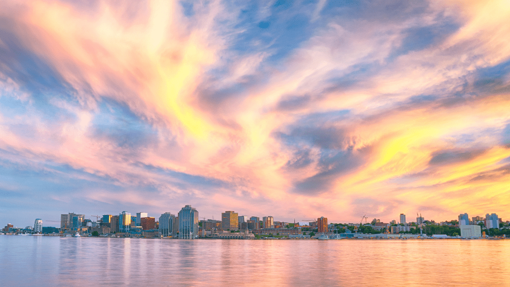 Newfoundland's Dramatic Coasts: 8 or 18 - Day Culture & Cliff Adventure - Zero Trace Tours