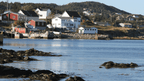 Newfoundland's Dramatic Coasts: 8 or 18 - Day Culture & Cliff Adventure - Zero Trace Tours
