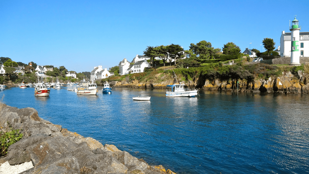 Newfoundland's Dramatic Coasts: 8 or 18 - Day Culture & Cliff Adventure - Zero Trace Tours