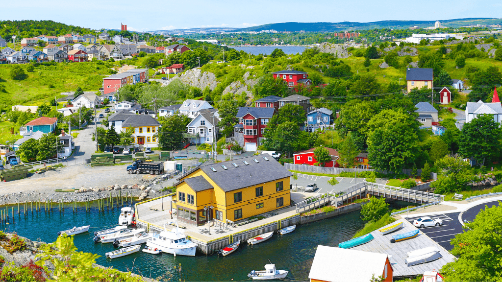 Newfoundland's Dramatic Coasts: 8 or 18 - Day Culture & Cliff Adventure - Zero Trace Tours