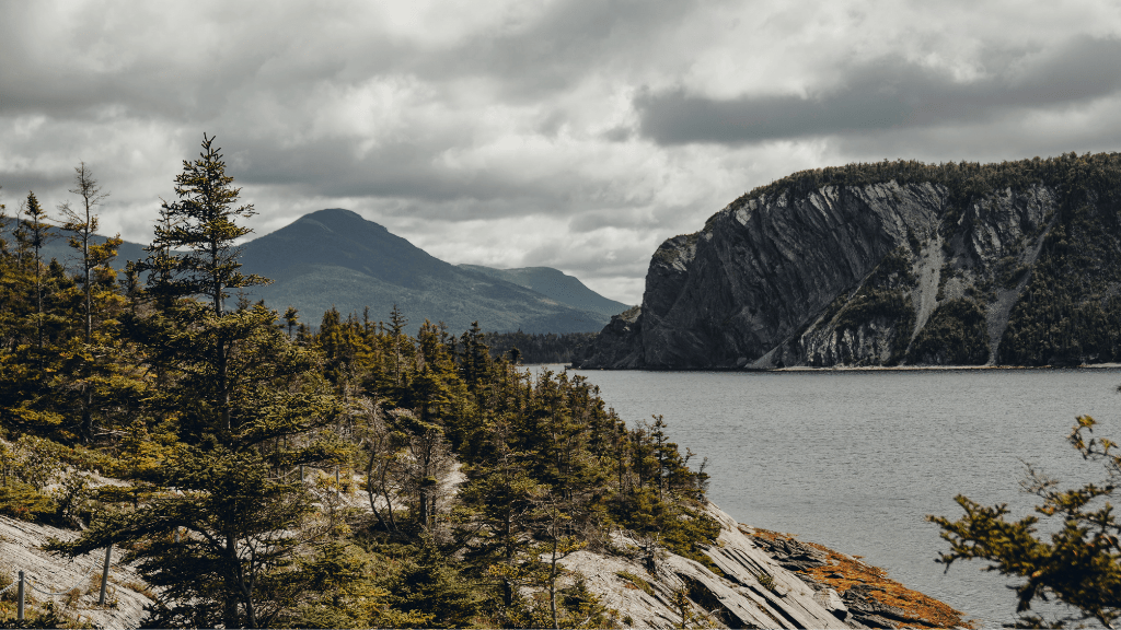 Newfoundland's Dramatic Coasts: 8 or 18 - Day Culture & Cliff Adventure - Zero Trace Tours