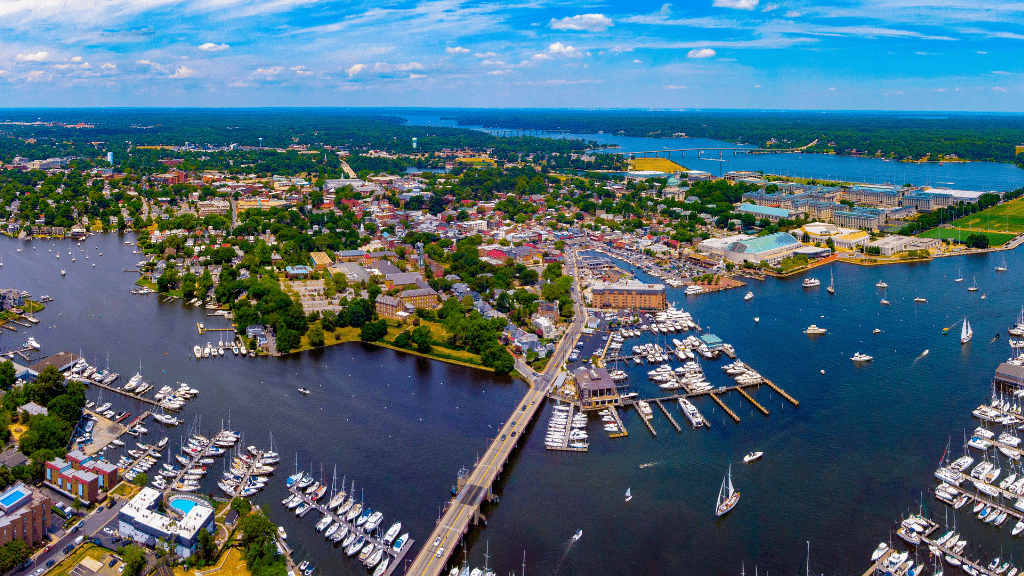 Newfoundland's Dramatic Coasts: 8 or 18 - Day Culture & Cliff Adventure - Zero Trace Tours