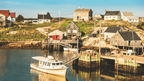 Newfoundland's Dramatic Coasts: 8 or 18 - Day Culture & Cliff Adventure - Zero Trace Tours