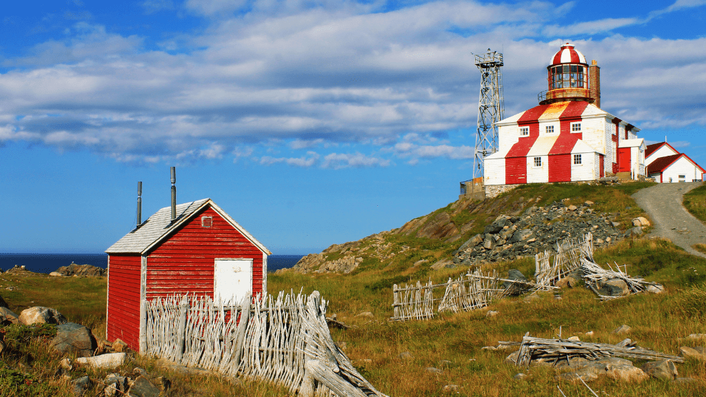 Newfoundland's Dramatic Coasts: 8 or 18 - Day Culture & Cliff Adventure - Zero Trace Tours