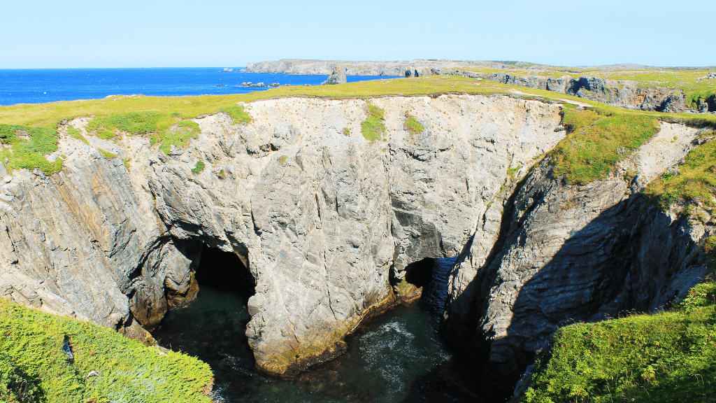 Newfoundland's Dramatic Coasts: 8 or 18 - Day Culture & Cliff Adventure - Zero Trace Tours