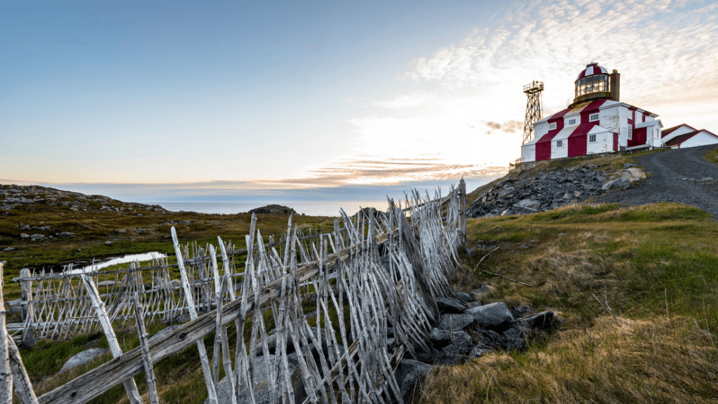 Newfoundland's Dramatic Coasts: 8 or 18 - Day Culture & Cliff Adventure - Zero Trace Tours