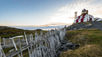 Newfoundland's Dramatic Coasts: 8 or 18 - Day Culture & Cliff Adventure - Zero Trace Tours