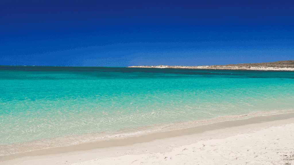 Ningaloo Reef Discovery: 3 - Day Kayak & Snorkel Expedition - Zero Trace Tours