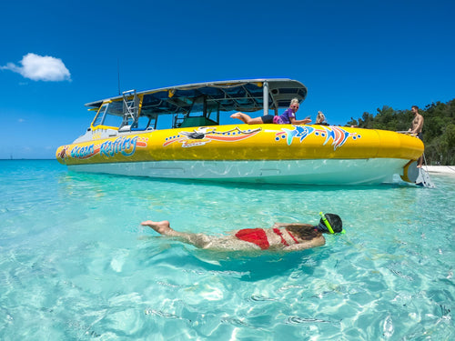 Southern Whitehaven Beach & Snorkel Tour from Daydream Island