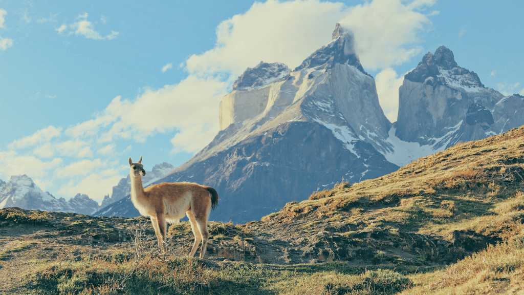 Patagonia Your Way: 14 - Day Sights or Trails Adventure - Zero Trace Tours