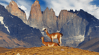 Patagonia Your Way: 14 - Day Sights or Trails Adventure - Zero Trace Tours