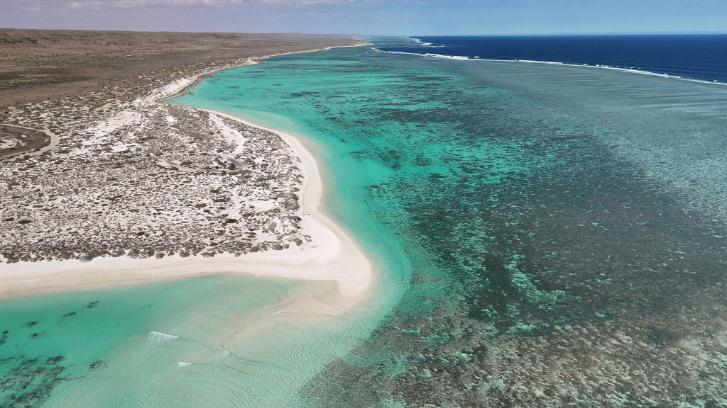 Perth to Broome West Coast Bus Adventure: 9–14 Day Small - Group Tour (One - Way or Return) - Zero Trace Tours