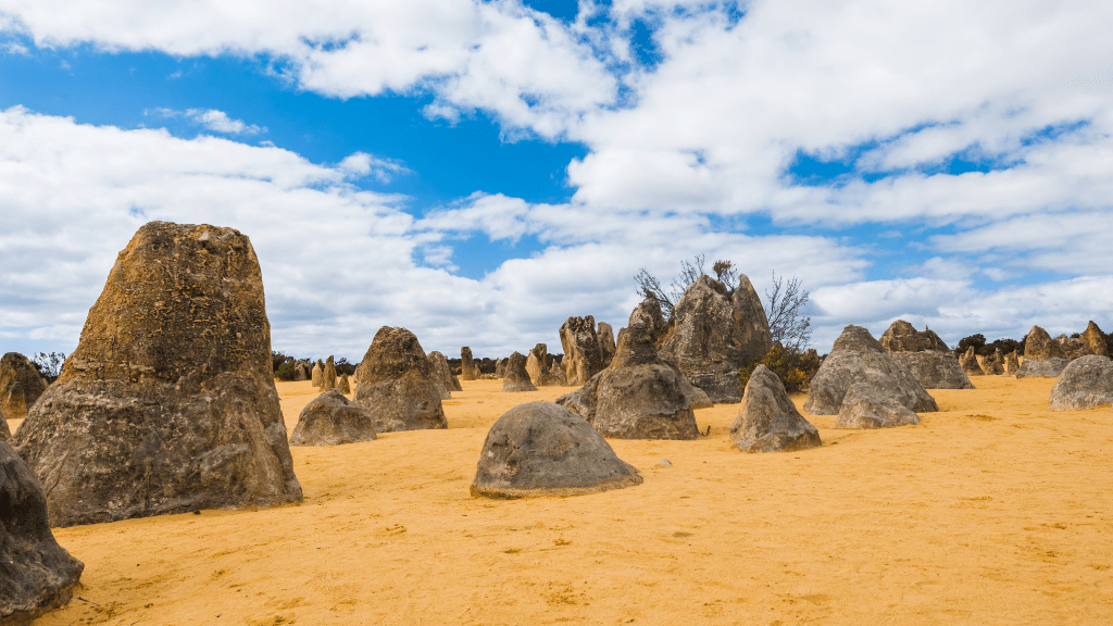 Perth to Broome West Coast Bus Adventure: 9–14 Day Small - Group Tour (One - Way or Return) - Zero Trace Tours