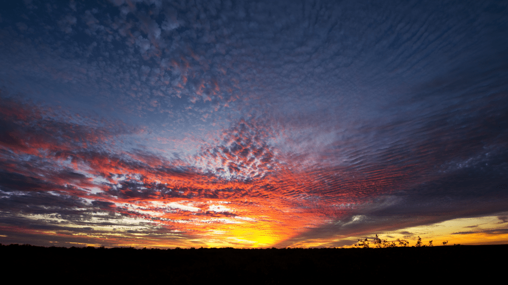 Perth to Broome West Coast Bus Adventure: 9–14 Day Small - Group Tour (One - Way or Return) - Zero Trace Tours