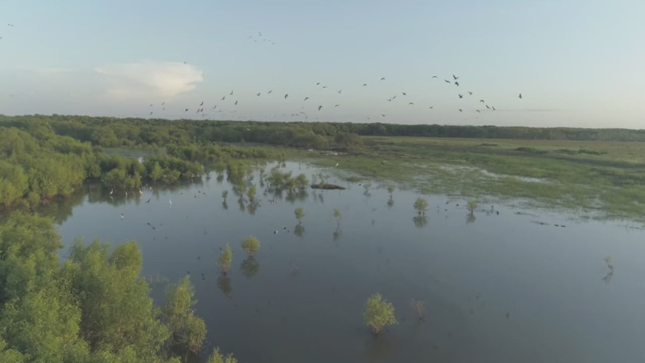 Kakadu Rock Art & Crocodile Day Tour from Darwin