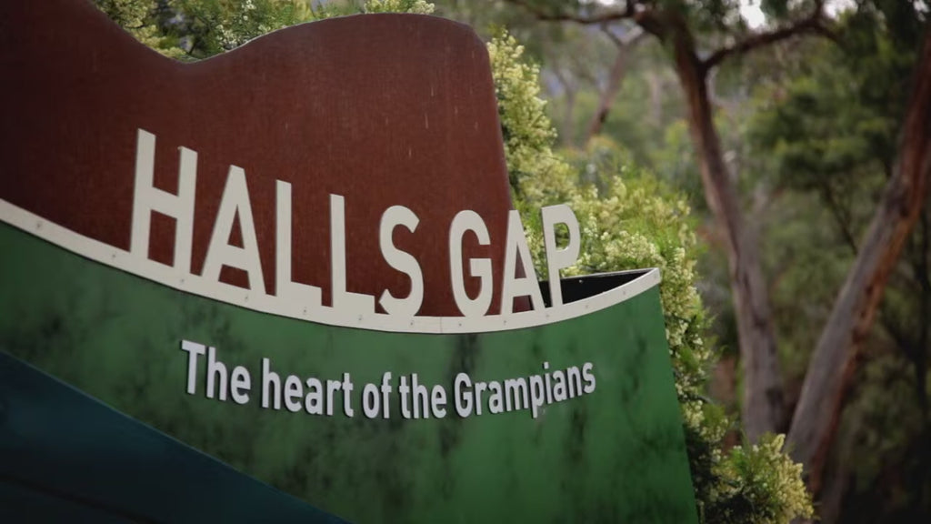 Grampians National Park Day Tour from Melbourne: Wildlife, Waterfalls & Aboriginal Culture Discovery