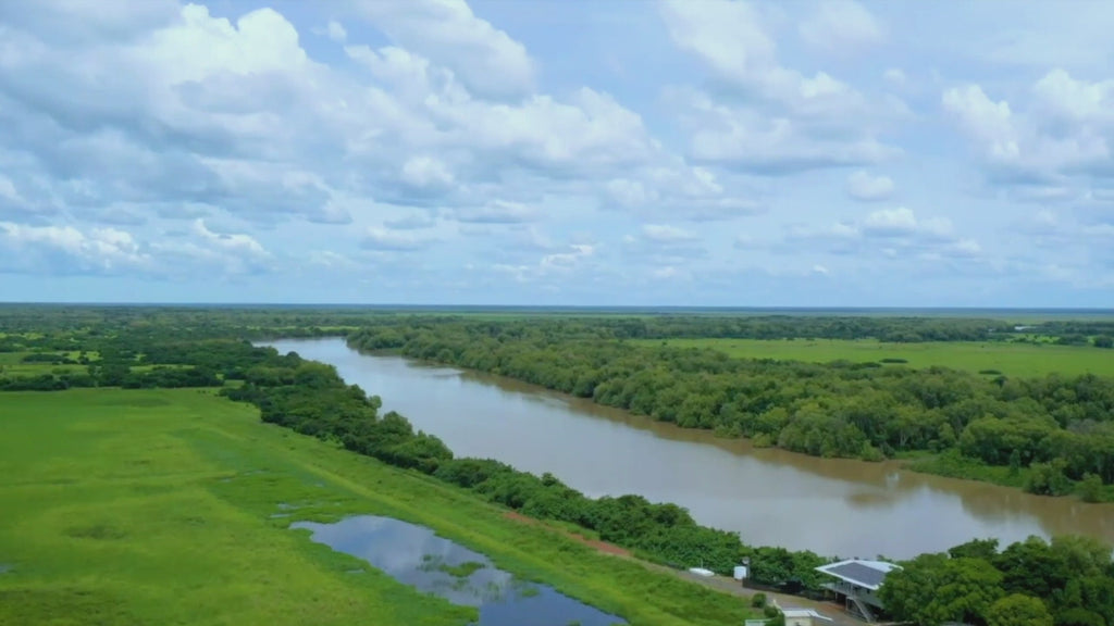 Kakadu Rock Art & Crocodile Day Tour from Darwin