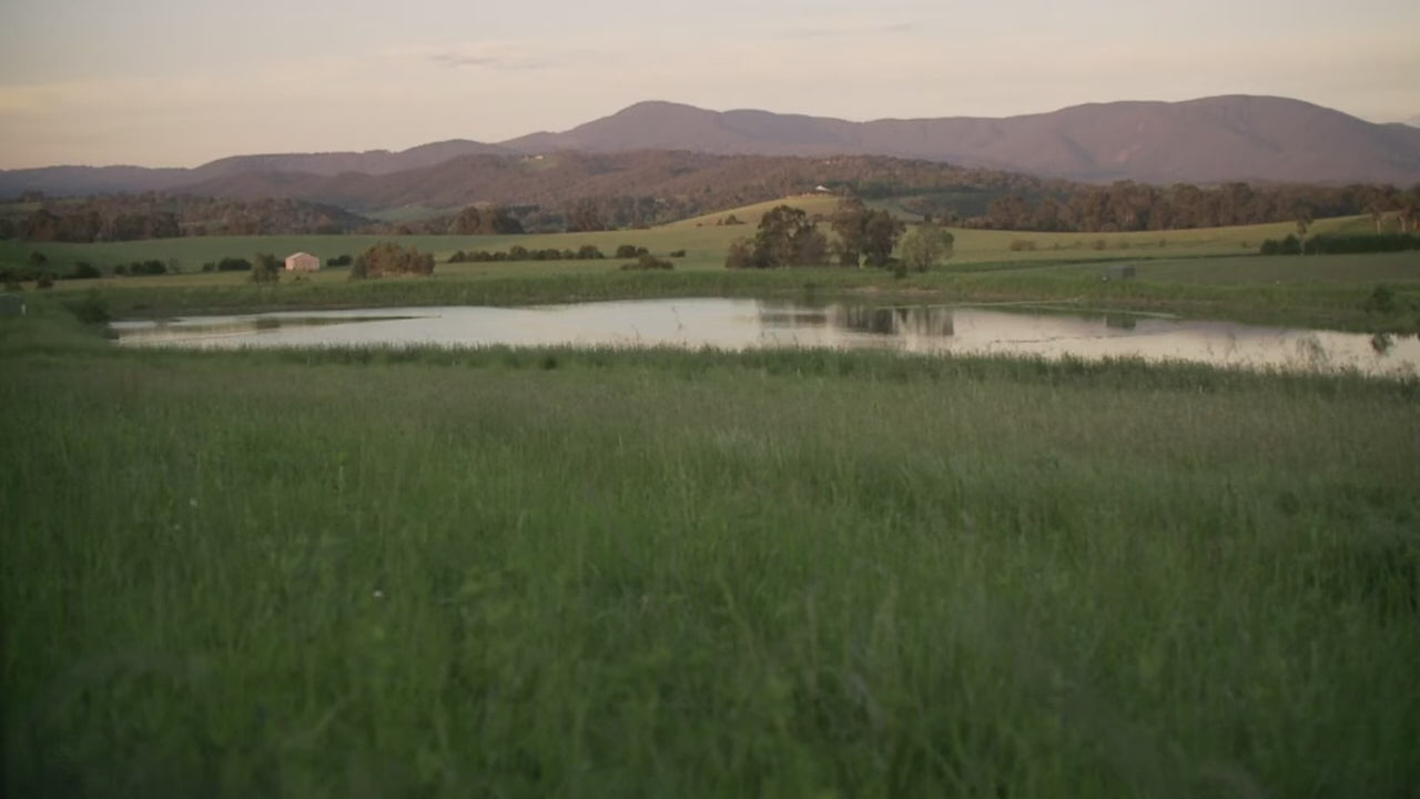 Yarra Valley Wine Tasting & Gourmet Day Tour from Melbourne