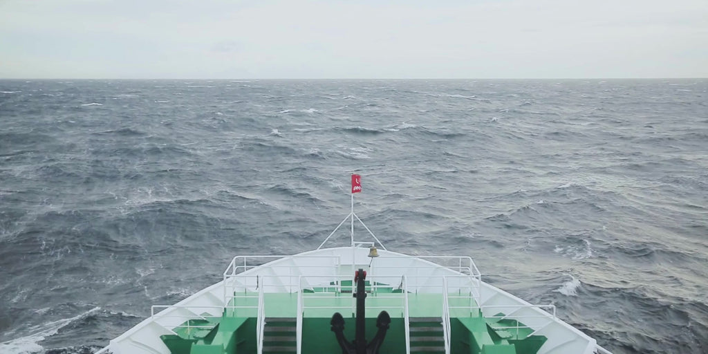 Ultimate Antarctica Expedition: 11-Day Polar Wildlife Voyage