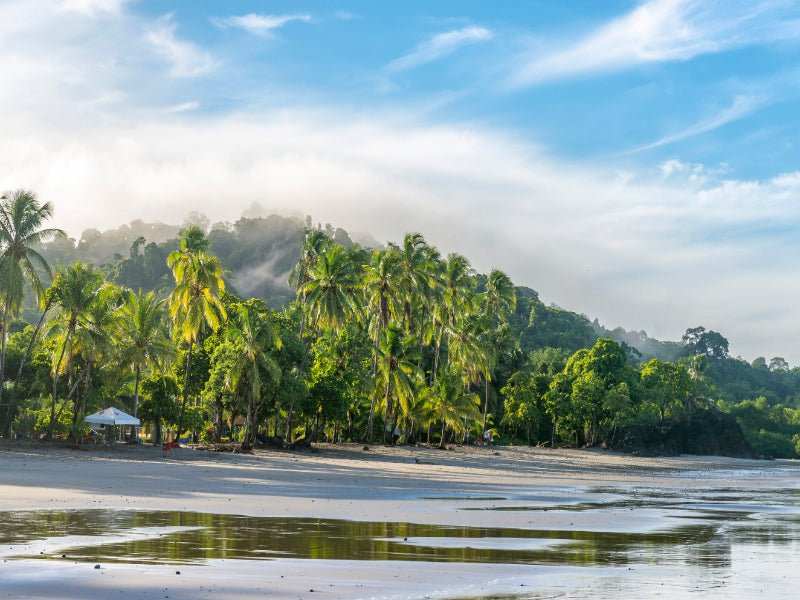 Pura Vida Explorer: 12 - Day Costa Rica Wildlife & Waterfall Adventure - Zero Trace Tours