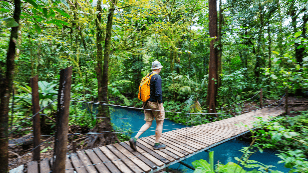 Pura Vida Explorer: 12 - Day Costa Rica Wildlife & Waterfall Adventure - Zero Trace Tours