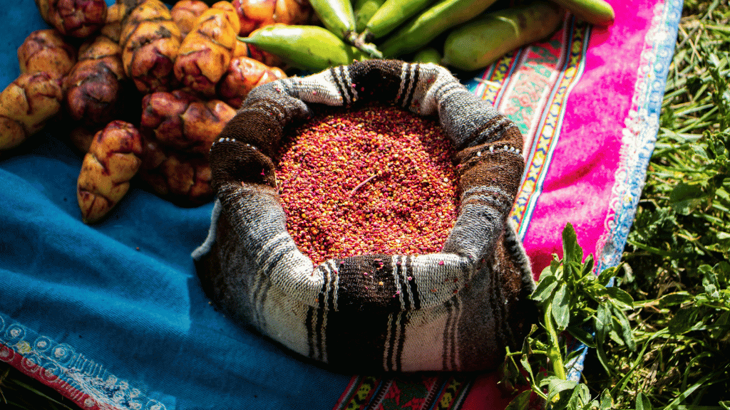 Shoestring Peru: City Buzz, High Trails & Machu Picchu | 14 Days - Zero Trace Tours