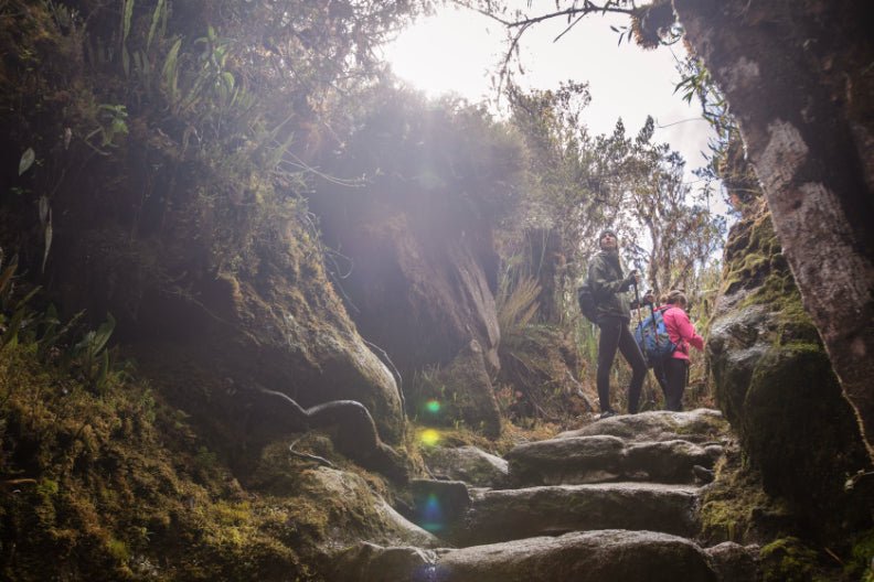 Shoestring Peru: City Buzz, High Trails & Machu Picchu | 14 Days - Zero Trace Tours