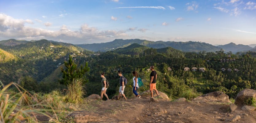 Sri Lanka Your Way: 7 - 14 Days of Land Highlights & South Coast Sailing - Zero Trace Tours