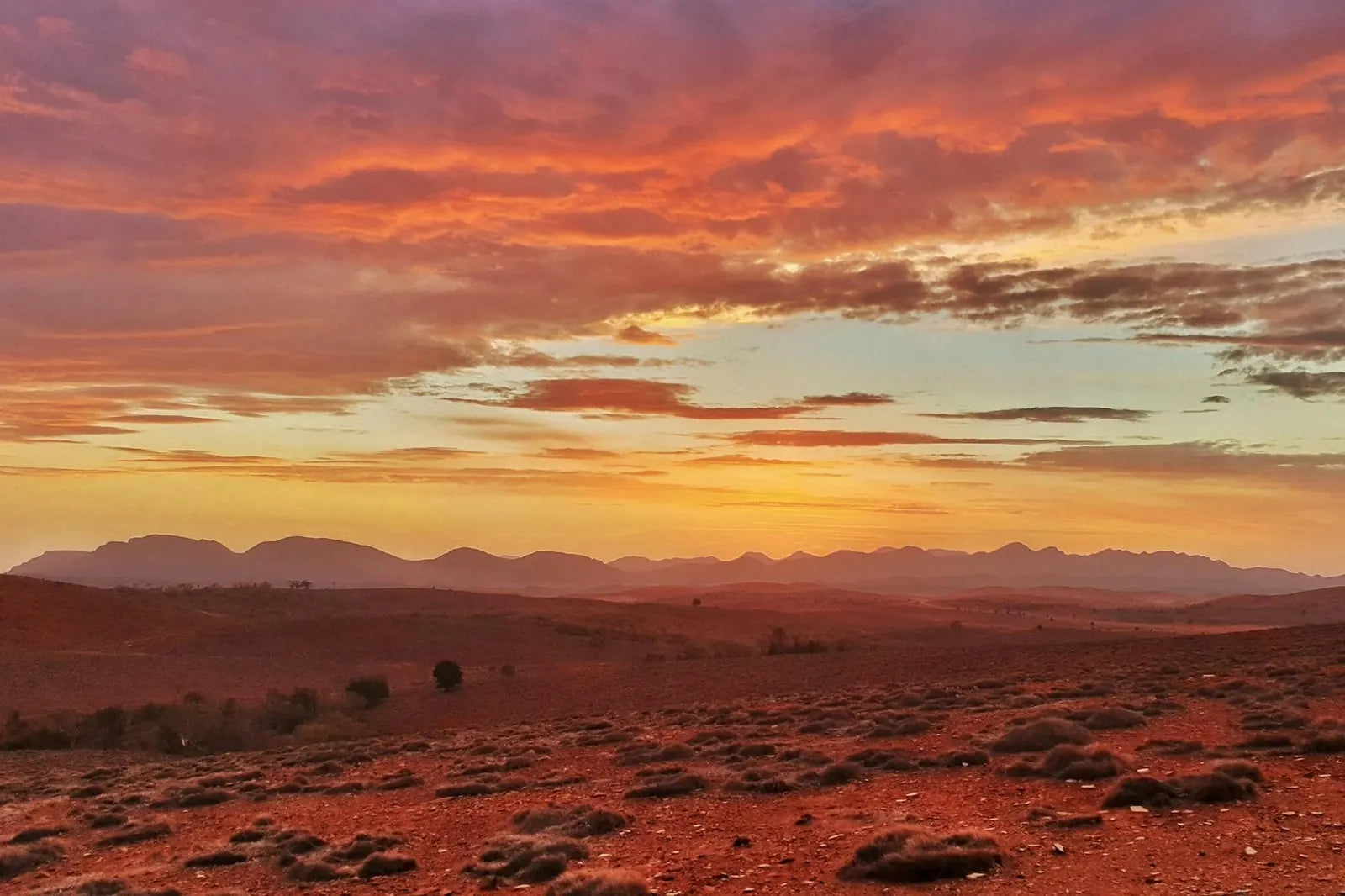Flinders Ranges, Lake Eyre, Birdsville & Marree 5 Day Eco Tour from Adelaide | Outback Safari