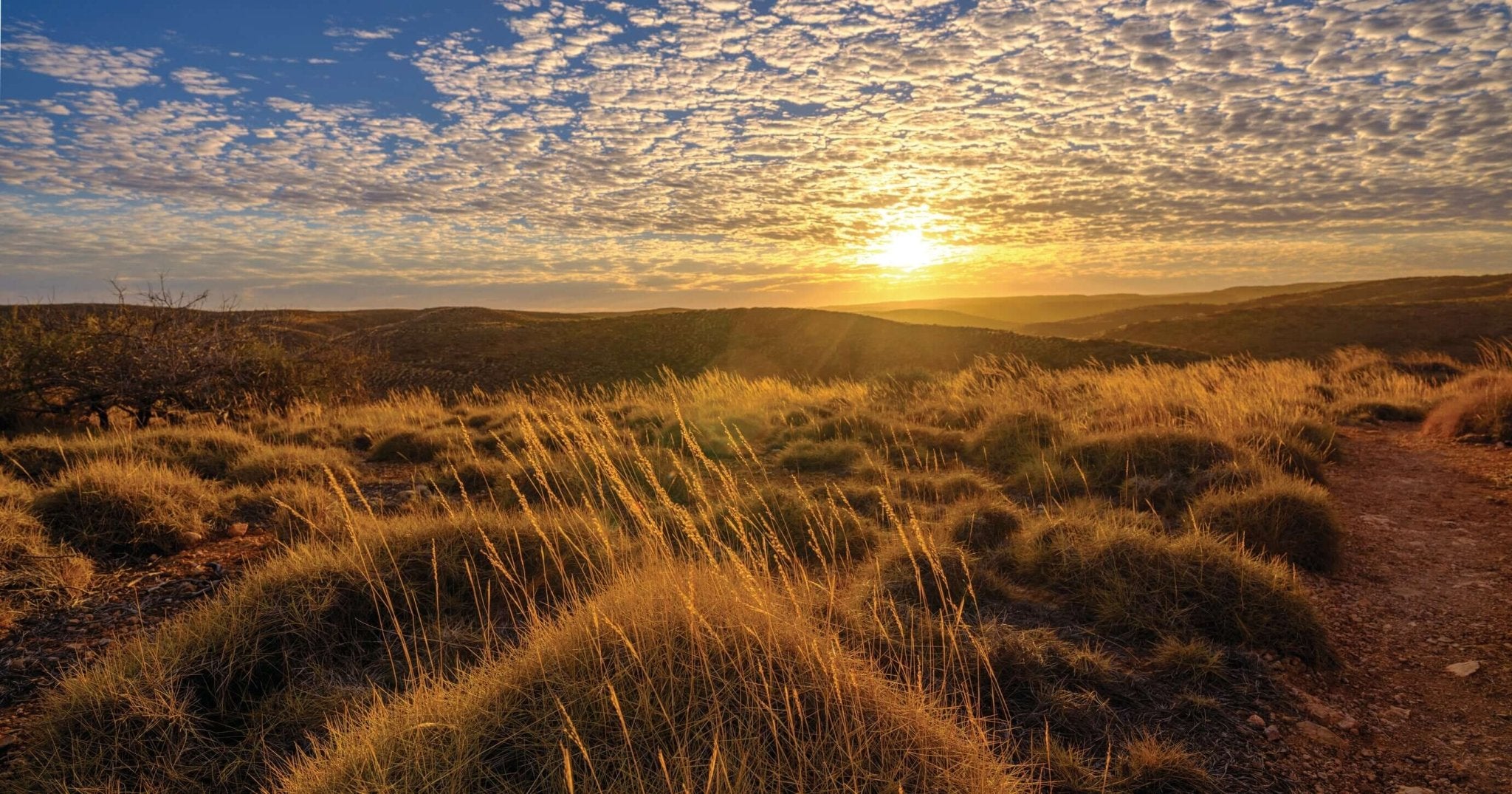 Swim with Giants: Perth to Exmouth Turquoise Coast Adventure - Zero Trace Tours