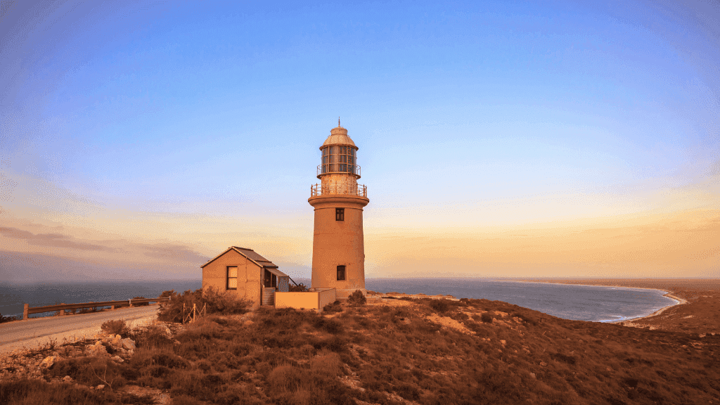 Swim with Giants: Perth to Exmouth Turquoise Coast Adventure - Zero Trace Tours