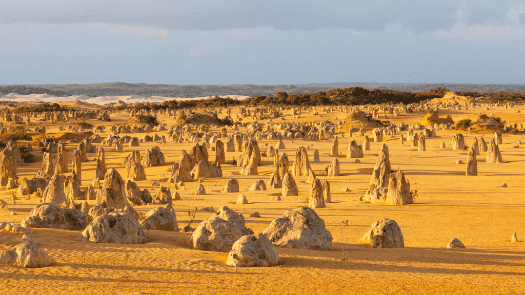 Swim with Giants: Perth to Exmouth Turquoise Coast Adventure - Zero Trace Tours