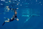Swim with Giants: Perth to Exmouth Turquoise Coast Adventure - Zero Trace Tours