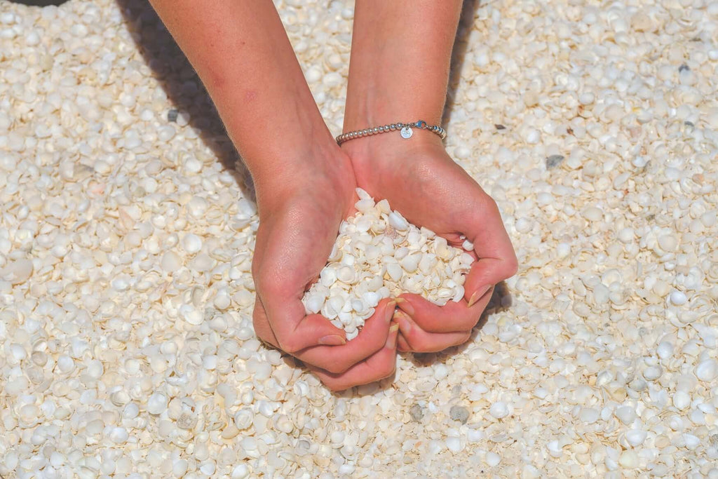 Swim with Giants: Perth to Exmouth Turquoise Coast Adventure - Zero Trace Tours