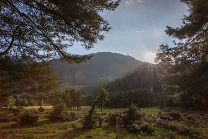 Thunder Dragon Traverse | 11 - Day Bhutan Trail with Camp or Comfort - Zero Trace Tours