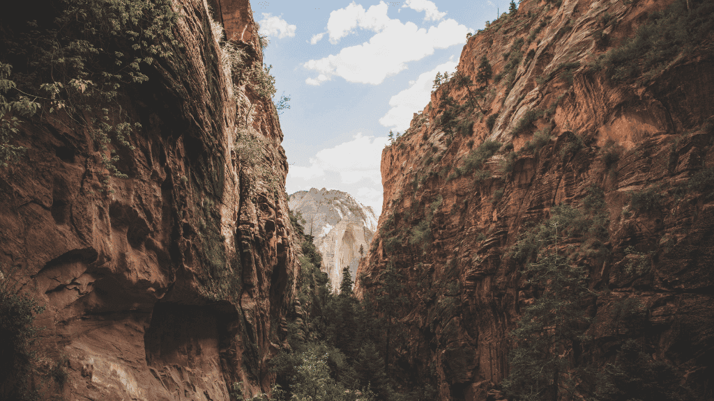 Top End 4WD Safari: 5 - Day Camping & Outback Thrills - Zero Trace Tours