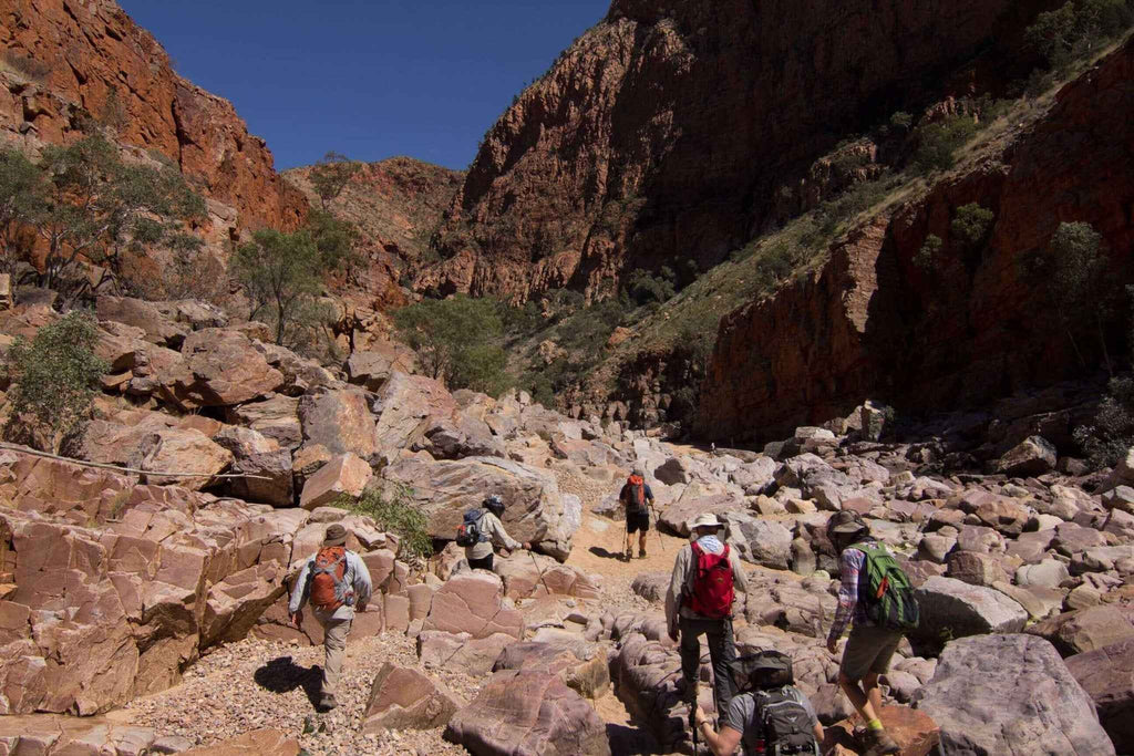 Ultimate 5-Day Larapinta Trail | Ancient Red Centre Hike