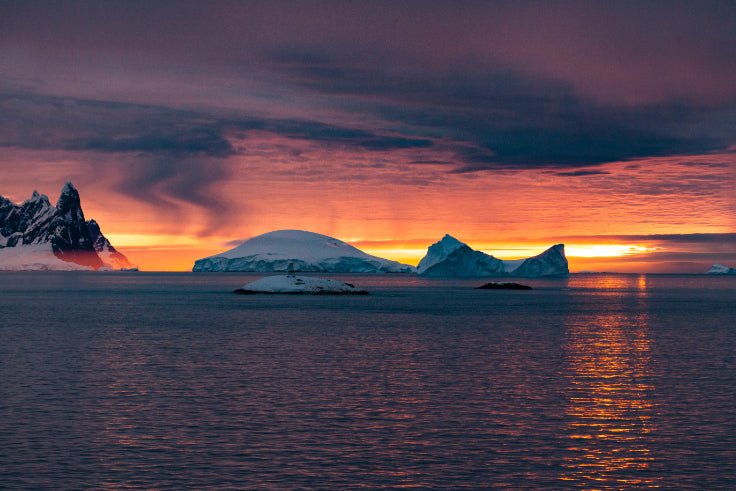 Ultimate Antarctica Expedition: 11 - Day Polar Wildlife Voyage - Zero Trace Tours