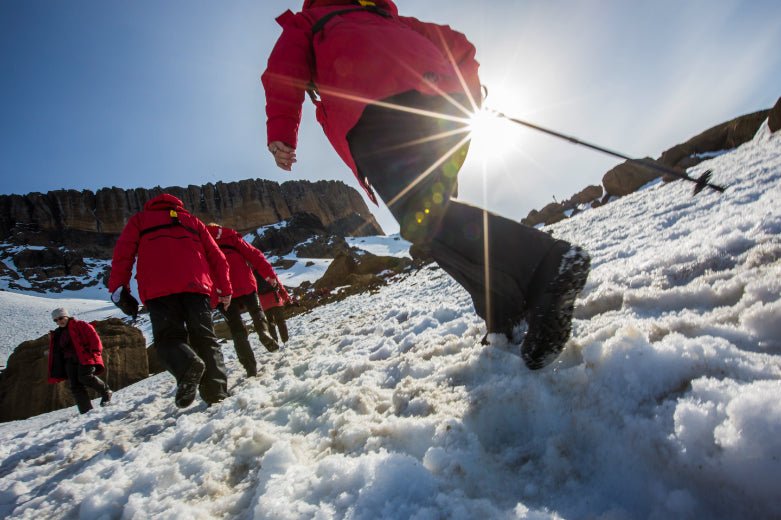 Ultimate Antarctica Expedition: 11 - Day Polar Wildlife Voyage - Zero Trace Tours