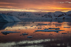 Ultimate Antarctica Expedition: 11 - Day Polar Wildlife Voyage - Zero Trace Tours