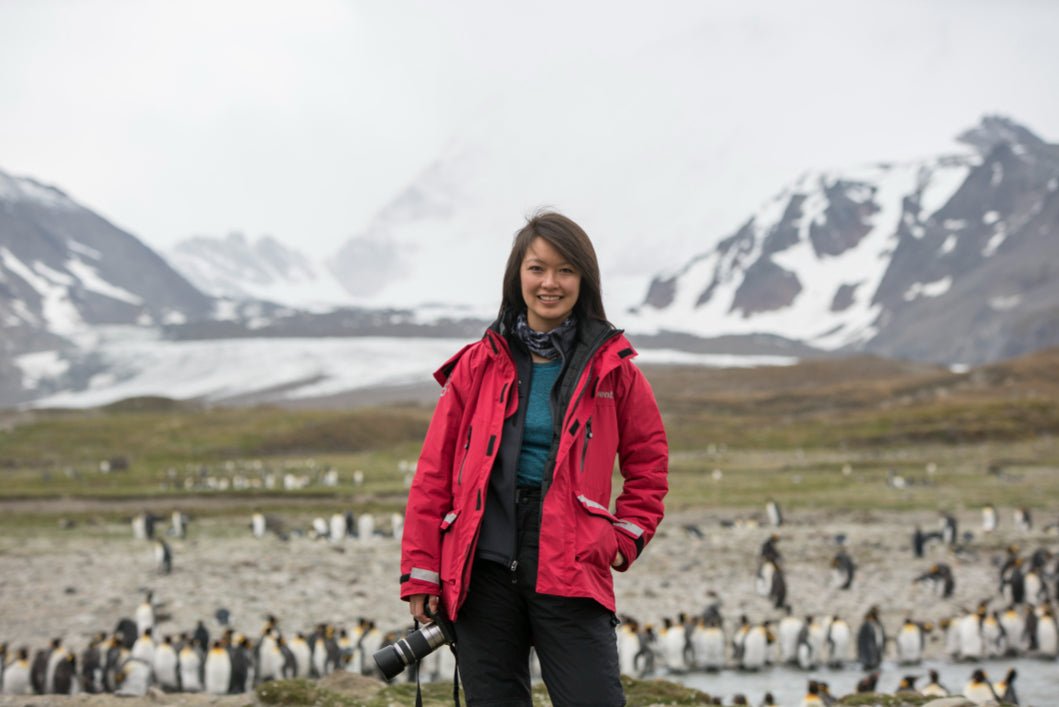 Ultimate Antarctica Expedition: 11 - Day Polar Wildlife Voyage - Zero Trace Tours