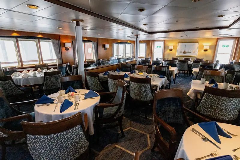 Ultimate Antarctica Expedition: 11 - Day Polar Wildlife Voyage - Zero Trace Tours