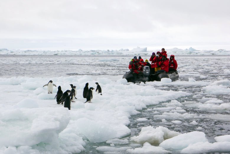 Ultimate Antarctica Expedition: 11 - Day Polar Wildlife Voyage - Zero Trace Tours
