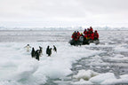 Ultimate Antarctica Expedition: 11 - Day Polar Wildlife Voyage - Zero Trace Tours