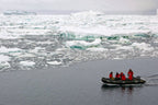 Ultimate Antarctica Expedition: 11 - Day Polar Wildlife Voyage - Zero Trace Tours