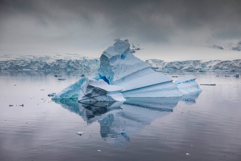 Ultimate Antarctica Expedition: 11 - Day Polar Wildlife Voyage - Zero Trace Tours