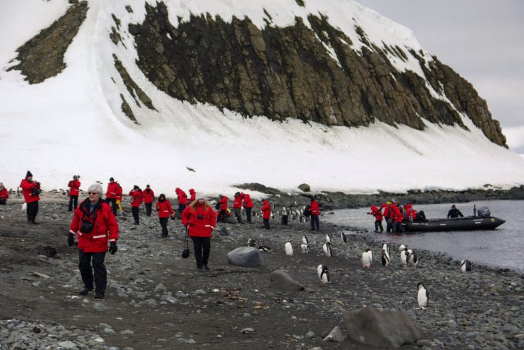 Ultimate Antarctica Expedition: 11 - Day Polar Wildlife Voyage - Zero Trace Tours
