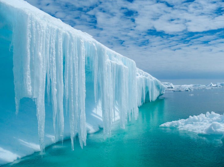 Ultimate Antarctica Expedition: 11 - Day Polar Wildlife Voyage - Zero Trace Tours